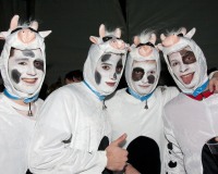 Carnavales de Getafe