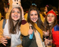 Carnavales de Getafe
