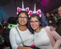 Carnavales de Getafe