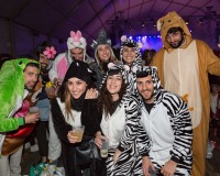 Carnavales de Getafe