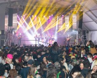 Carnavales de Getafe