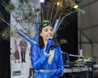 Carnaval-de-Mayores-2018_783