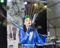 Carnaval-de-Mayores-2018_784