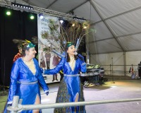 Carnaval-de-Mayores-2018_787