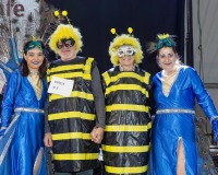 Carnaval-de-Mayores-2018_830