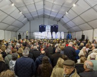 Carnaval-de-Mayores-2018_844