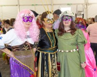 Carnaval-de-Mayores-2019_882