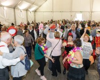 Carnaval-de-Mayores-2019_885