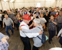 Carnaval-de-Mayores-2019_886