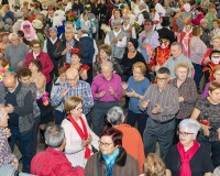 Carnaval-de-Mayores-2019_889