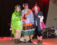 Carnaval-de-Mayores-2019_909