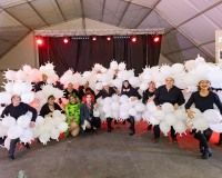 Carnaval-de-Mayores-2019_922