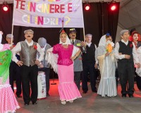 Carnaval-de-Mayores-2019_925