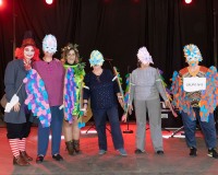 Carnaval-de-Mayores-2019_933