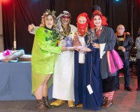 Carnaval-de-Mayores-2019_945