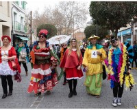 Carnaval-de-Mayores_003