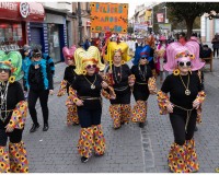 Carnaval-de-Mayores_017