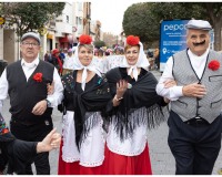 Carnaval-de-Mayores_019