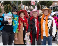 Carnaval-de-Mayores_034