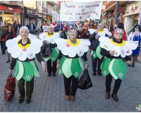 Carnaval-de-Mayores_24