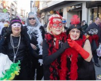 Carnaval-de-Mayores_29