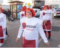 Carnaval-de-Mayores_38