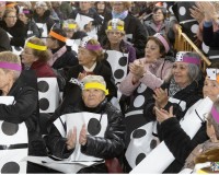Carnaval-de-Mayores_59