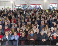 Carnaval-de-Mayores_66
