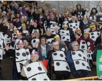 Carnaval-de-Mayores_68