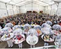 Carnaval-de-Mayores_99