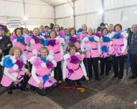 Carnaval_de_Mayores_2025_003