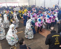 Carnaval_de_Mayores_2025_029