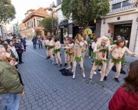 034-Chirigotas-Getafe-en-la-calle