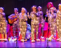 0103-Final-Concurso-de-Comparsas-y-Chirigotas