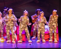 0112-Final-Concurso-de-Comparsas-y-Chirigotas