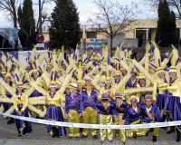 Desfile-de-Murgas-Carnaval-de-Getafe-2003_042