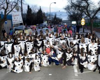 Desfile-de-Murgas-Carnaval-de-Getafe-2003_045