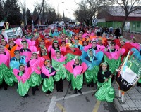 Desfile-de-Murgas-Carnaval-de-Getafe-2004_041