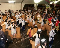 Desfile-de-Murgas-Carnaval-2006_039