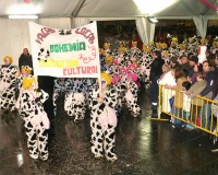Desfile-de-Murgas-Carnaval-2006_047