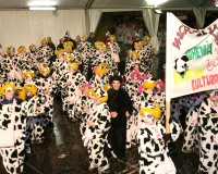 Desfile-de-Murgas-Carnaval-2006_049