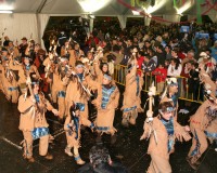 Desfile-de-Murgas-Carnaval-2006_071