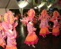 Desfile-de-Murgas-Carnaval-2006_095