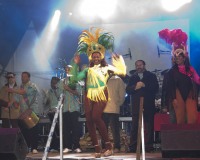 Carnavales de Getafe