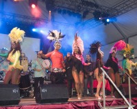 Carnavales de Getafe