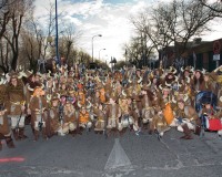 Carnavales de Getafe