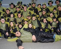 Carnavales de Getafe
