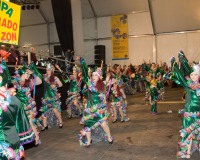 Carnavales de Getafe