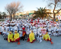 Carnavales de Getafe
