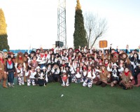 Desfile-de-Murgas-Carnaval-2012_012